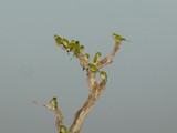P1040076