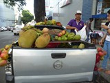 P1050599