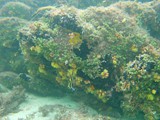 P1080891