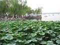 china_2010_08_01 09_44_55