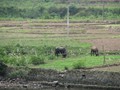 china_2010_08_07 11_16_26