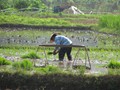 china_2010_08_07 16_30_53