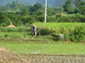 china_2010_08_07 16_32_16