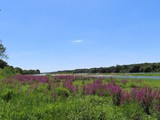 fra+lux_2020_040