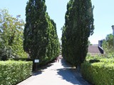 fra+lux_2020_063