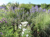 fra+lux_2020_070