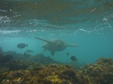 Hawaii_2019_004