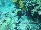 Hawaii_2019_007
