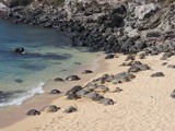 Hawaii_2019_015