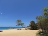 Hawaii_2019_016