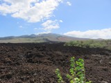 Hawaii_2019_018