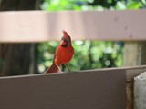 Hawaii_2019_023