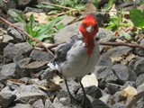 Hawaii_2019_024