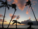 Hawaii_2019_027