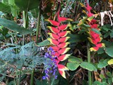 Hawaii_2019_029