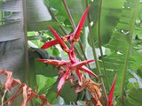 Hawaii_2019_031