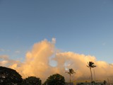 Hawaii_2019_036