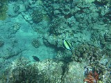 Hawaii_2019_050