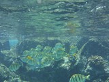 Hawaii_2019_051