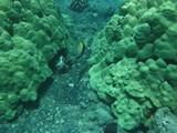 Hawaii_2019_053