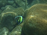 Hawaii_2019_054