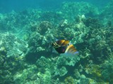 Hawaii_2019_055