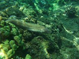 Hawaii_2019_056