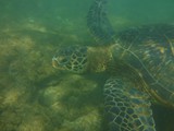 Hawaii_2019_063