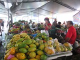 Hawaii_2019_065