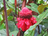 Hawaii_2019_068
