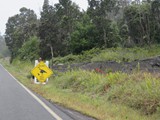 Hawaii_2019_075