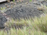 Hawaii_2019_076