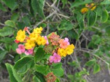 Hawaii_2019_078