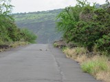 Hawaii_2019_083