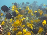 Hawaii_2019_090