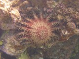 Hawaii_2019_091