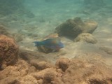 Hawaii_2019_092