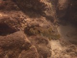 Hawaii_2019_093