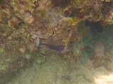 Hawaii_2019_094
