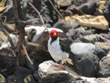 Hawaii_2019_096