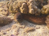 Hawaii_2019_098