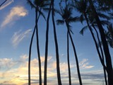 Hawaii_2019_101
