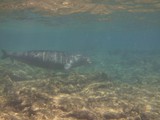 Hawaii_2019_103