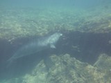 Hawaii_2019_104