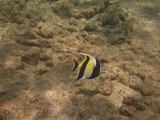 Hawaii_2019_105