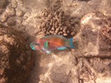 Hawaii_2019_106