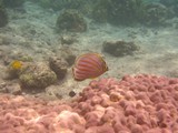 Hawaii_2019_109