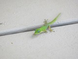 Hawaii_2019_111