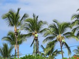 Hawaii_2019_112