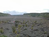 Hawaii_2019_117